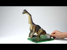 Load and play video in Gallery viewer, 4D Science Brachiosaurus