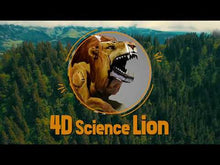 Load and play video in Gallery viewer, 4D Science Lion
